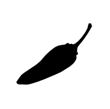 Chilli Surfboards logo